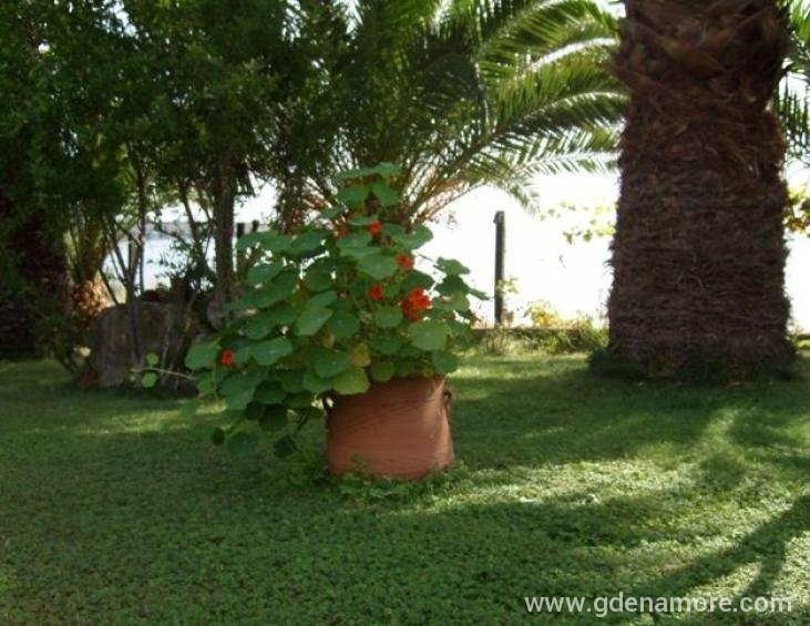 karvounoskala-pension-stratoni-halkidiki-10