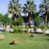 Karvounoskala-Pension, Privatunterkunft im Ort Stratoni, Griechenland - karvounoskala-pension-stratoni-halkidiki-41