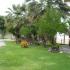 Karvounoskala-Pension, Privatunterkunft im Ort Stratoni, Griechenland - karvounoskala-pension-stratoni-halkidiki-9