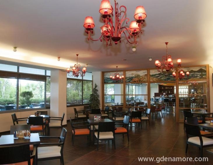 mediterranee-hotel-lassi-kefalonia-23