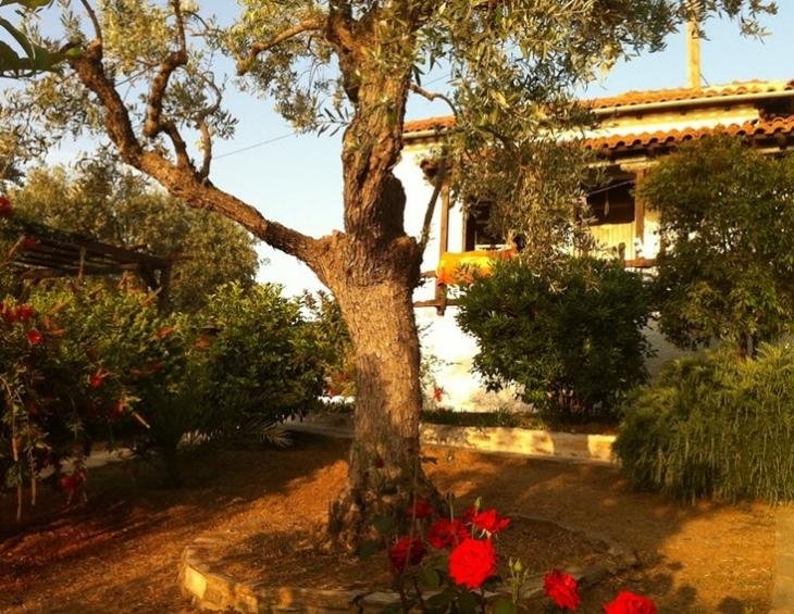 saint-andrews-villas-milina-pelion-10