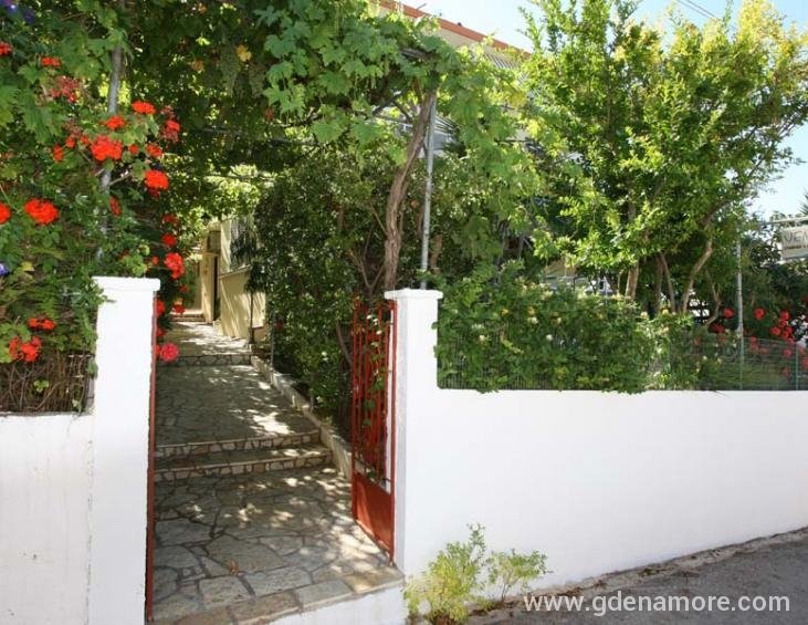 venia-studios-lassi-kefalonia-3