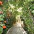 Venia Studios, private accommodation in city Lassii, Greece - venia-studios-lassi-kefalonia-4