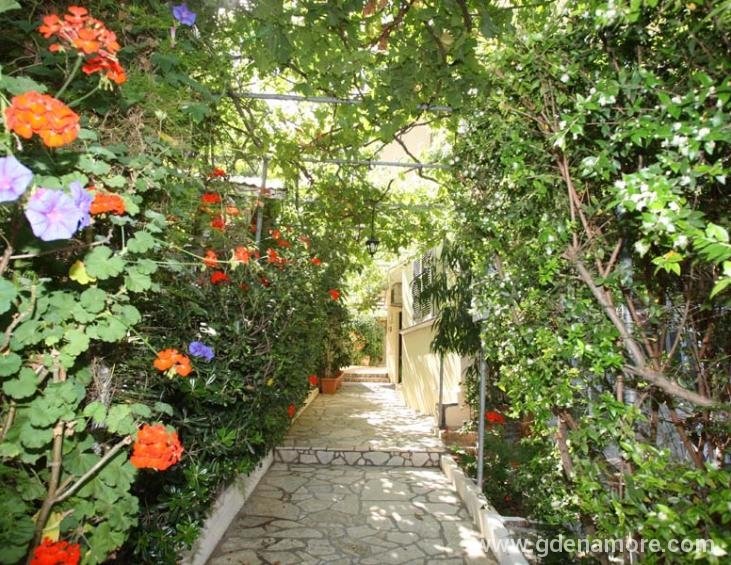 venia-studios-lassi-kefalonia-4
