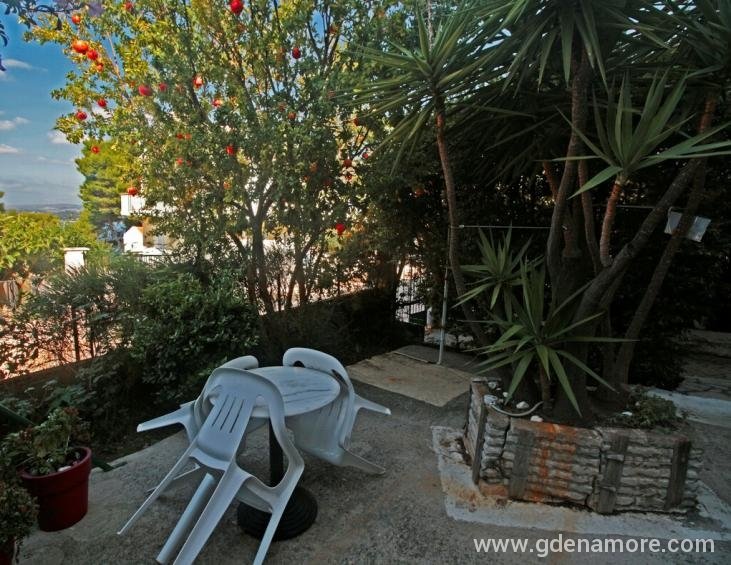 venia-studios-lassi-kefalonia-5