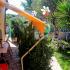 Venia Studios, private accommodation in city Lassii, Greece - venia-studios-lassi-kefalonia-6