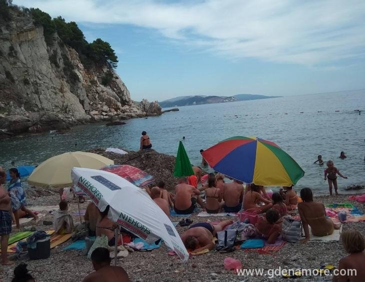 viber_image_2020-01-29_22-37-480