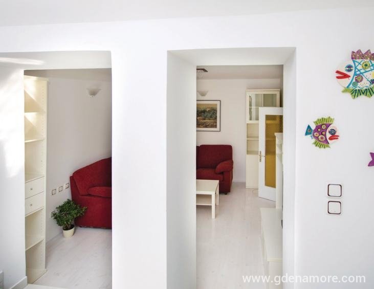 ckc258_indoor_01