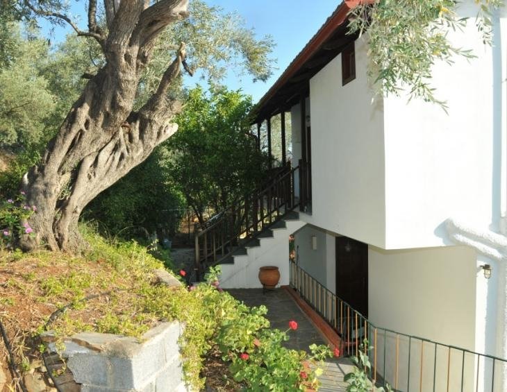 violeta-house-milina-pelion-3