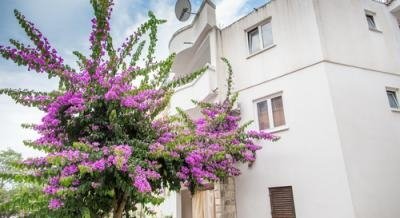 Gästehaus "Violett", Privatunterkunft im Ort Bečići, Montenegro