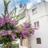 Maison d&#039;h&ocirc;tes &quot;Violette&quot;, logement privé à Bečići, Mont&eacute;n&eacute;gro - a3c3f307ef692def2666a7e3f02680b3