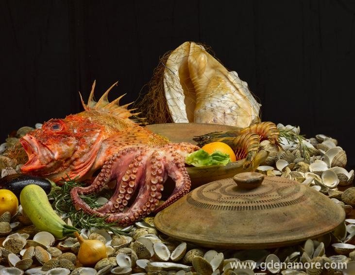 DRAGAN2219fish-plate