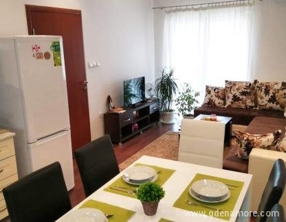Apartman Djordje , ενοικιαζόμενα δωμάτια στο μέρος Bar, Montenegro - FB_IMG_1554896302552