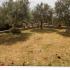 Apartments Nikezic, private accommodation in city Utjeha, Montenegro - 878AD80E-78B2-4B74-A3A6-8608A4458255