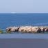 Queen Apartments &amp; Zimmer, Privatunterkunft im Ort Dobre Vode, Montenegro - 164743279