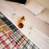 Apartman Vuksanović , privatni smeštaj u mestu Budva, Crna Gora - IMG_20210503_182408