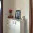 Apartamentos Jazm&iacute;n. Estoy alquilando apartamentos en Bar, &Scaron;u&scaron;anj, alojamiento privado en Bar, Montenegro - 14