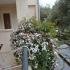 Villa Maslina, privat innkvartering i sted Budva, Montenegro - 45276351