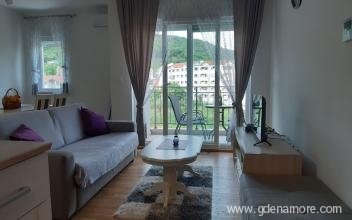 Apartment Pavle, private accommodation in city Bijela, Montenegro