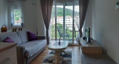 Apartment Pavle, private accommodation in city Bijela, Montenegro