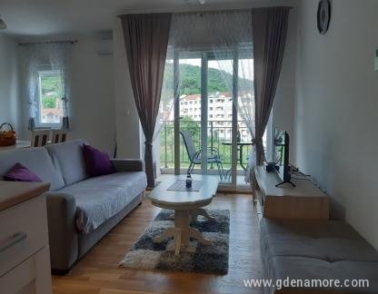 Appartamento Pavle, alloggi privati a Bijela, Montenegro - IMG-39dfa9f9f624ec815b7a21bdb377c6d8-V