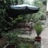 Azur, частни квартири в града Budva, Черна Гора - Garden