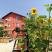 Слънчогледите, privatni smeštaj u mestu Pomorie, Bugarska - IMG_20210805_121104