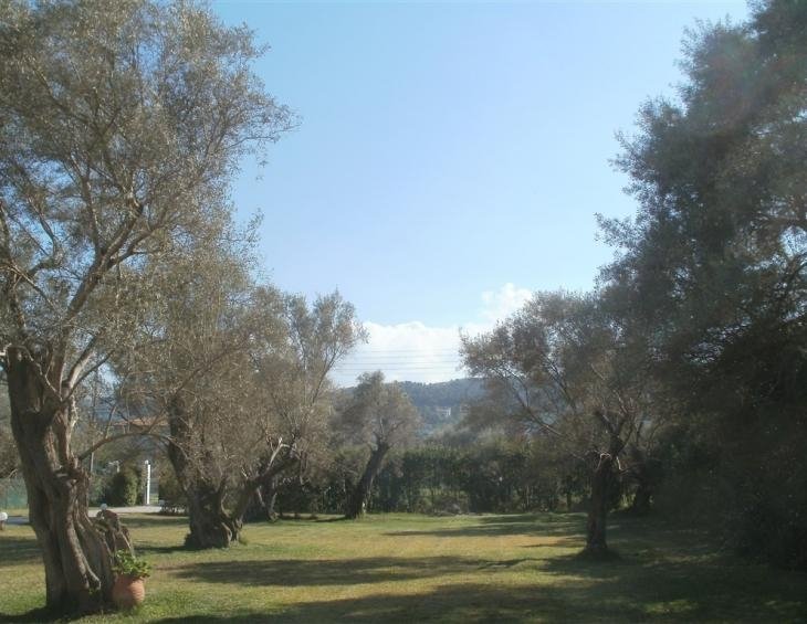 elaia-studios-agios-ioannis-lefkada-13