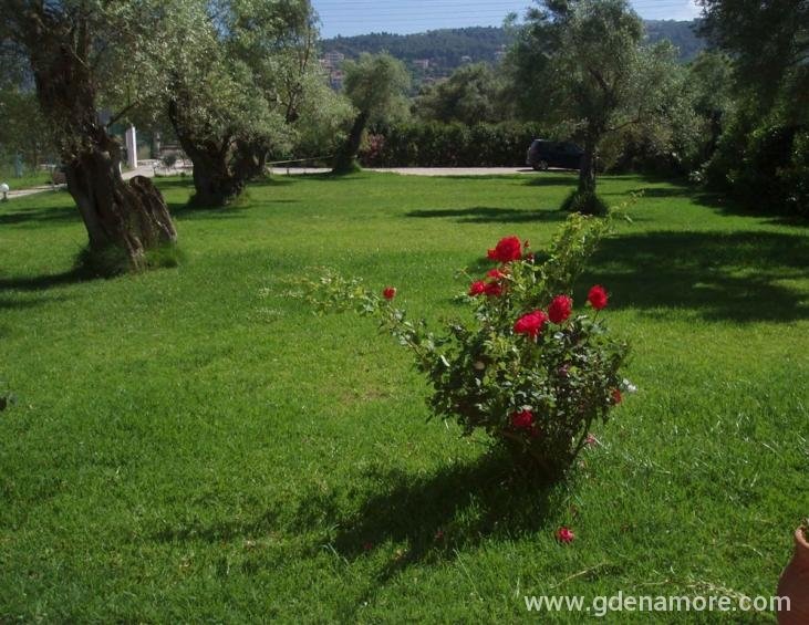 elaia-studios-agios-ioannis-lefkada-15