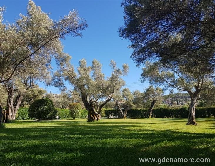 elaia-studios-agios-ioannis-lefkada-16