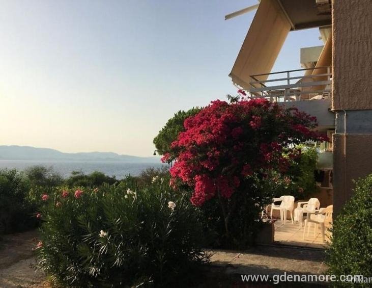 galini-studios-lassi-kefalonia-10