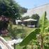 Vangelis Garden House, logement privé à Nea Potidea, Gr&egrave;ce - vangelis-garden-house-nea-potidea-kassandra-12