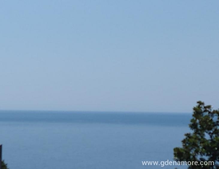 IMG_20210707_135412657_MP