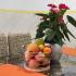 Apartmani Tomić, logement privé à Rafailovići, Mont&eacute;n&eacute;gro - IMG_20211123_142234