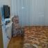 Apartman-stan NANA, zasebne nastanitve v mestu Bar, Črna gora - 20150531_092922