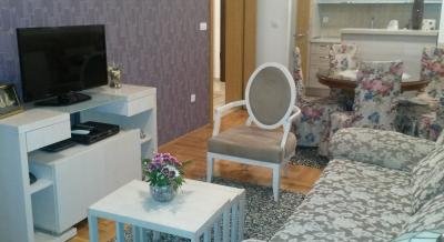 Apartman-stan NANA, private accommodation in city Bar, Montenegro