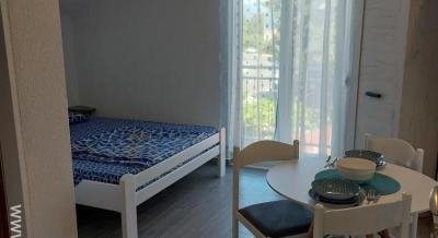 Apartmani Ana, privat innkvartering i sted Djenović, Montenegro