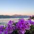 Apartmaji Marina, zasebne nastanitve v mestu Bijela, Črna gora - 9113D199-1025-47BE-B6BE-D8313656439D