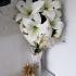 Apartments Savic, private accommodation in city Dobrota, Montenegro - 20230408_082501