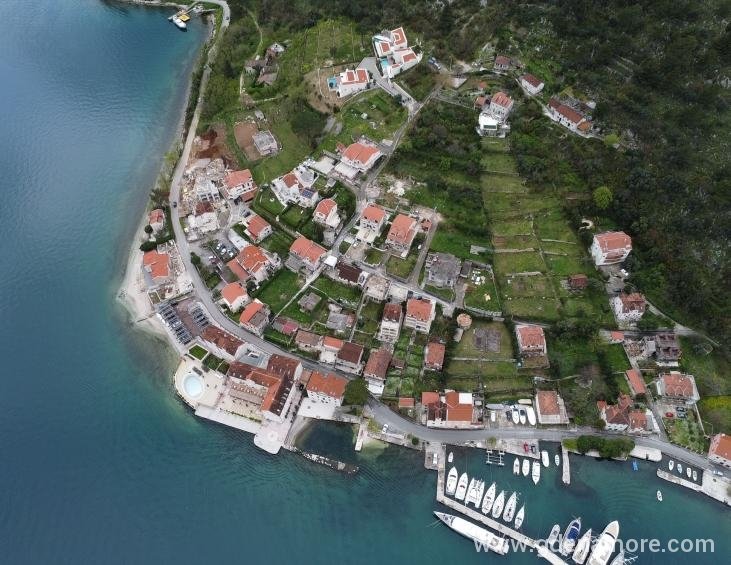 DJI_0001