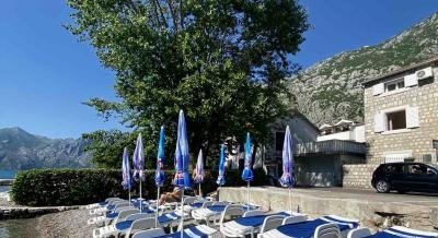 Apartments Savic, private accommodation in city Dobrota, Montenegro