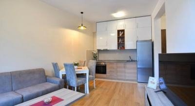 Apartman Ana, logement privé à Igalo, Monténégro