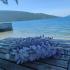 Apartman Lalic,Kumbor, private accommodation in city Kumbor, Montenegro - received_616879470374835