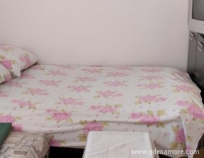 Apartman Sonja, private accommodation in city Igalo, Montenegro - viber_slika_2023-05-20_17-15-43-367