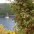 Mare Apartments , zasebne nastanitve v mestu Bigova, Črna gora - 1d29b617-2cbf-4553-880f-56e40e70d5aa