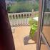 Apartmani Milovanovic , privatni smeštaj u mestu Dobre Vode, Crna Gora - IMG-26cf55bdecd3be4082452f9f058b915f-V