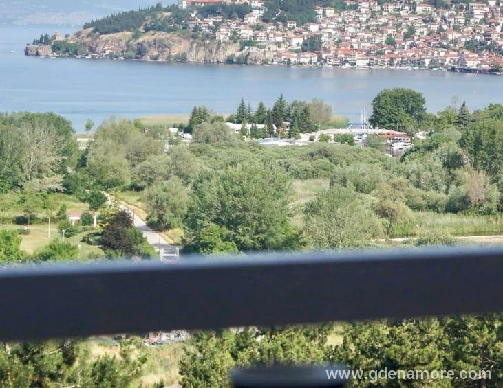 megdani