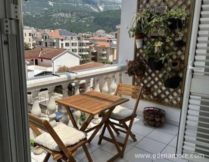 Apartman Mimi, alojamiento privado en Budva, Montenegro - viber_image_2023-06-24_09-48-38-490