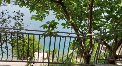 Fig, private accommodation in city Morinj, Montenegro