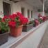 Apartments MAKI, private accommodation in city Ulcinj, Montenegro - viber_slika_2023-07-26_19-19-04-668